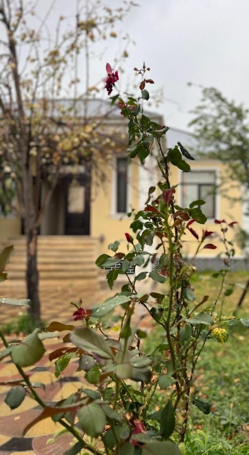 Emirest Villa Gabala Exterior photo